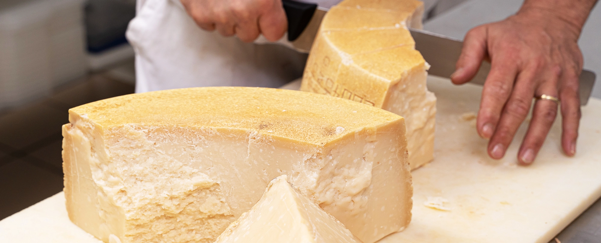 high-quality-parmesan cheese-gratifico-pastafresca